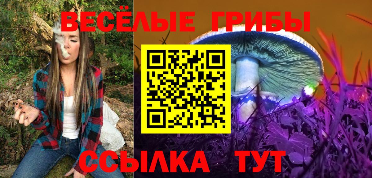Галлюциногенные грибы MAGIC MUSHROOMS Конаково