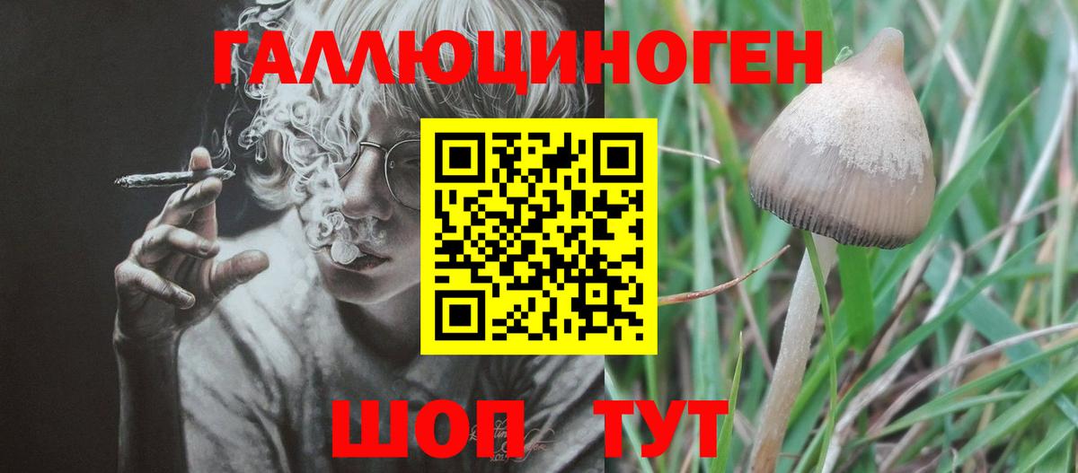 Галлюциногенные грибы Psilocybine cubensis  как найти закладки  Псилоцибиновые грибы GOLDEN TEACHER  Конаково  Вход с VPN 